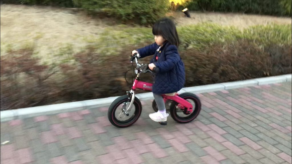 補助 輪 なし 自転車